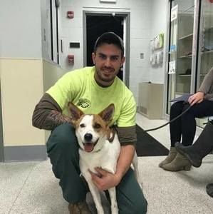 Meet your Posher, Sean